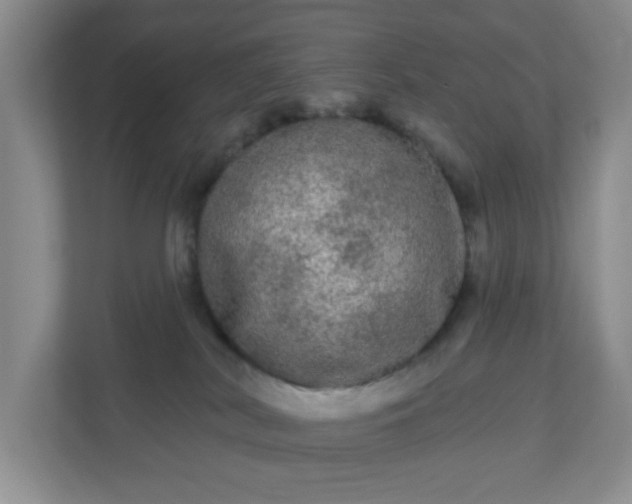 X0000111050038200907021628