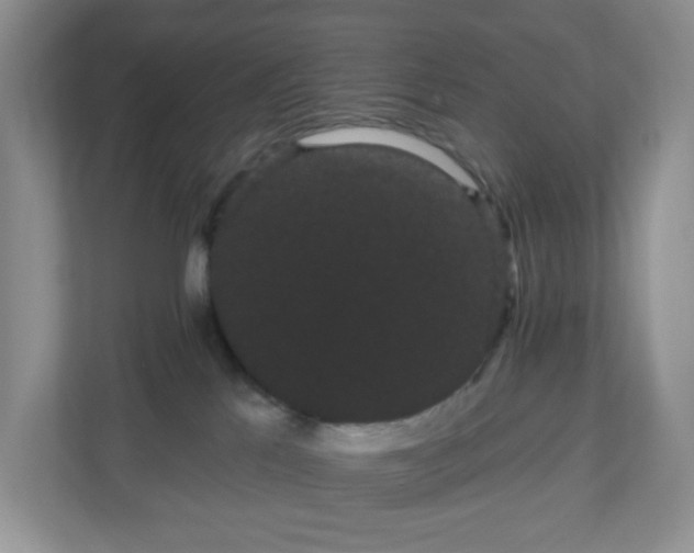 X0000111050041200907021628