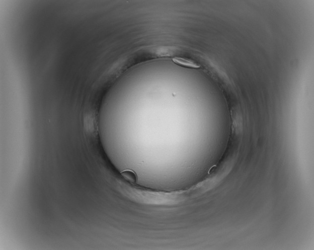 X0000111050044200907021628