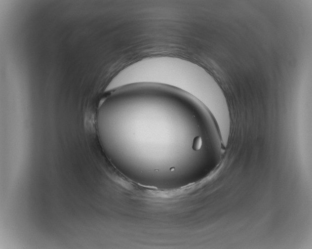 X0000111050045200907021628