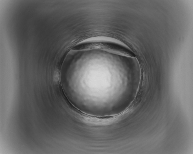 X0000111050048200907021628