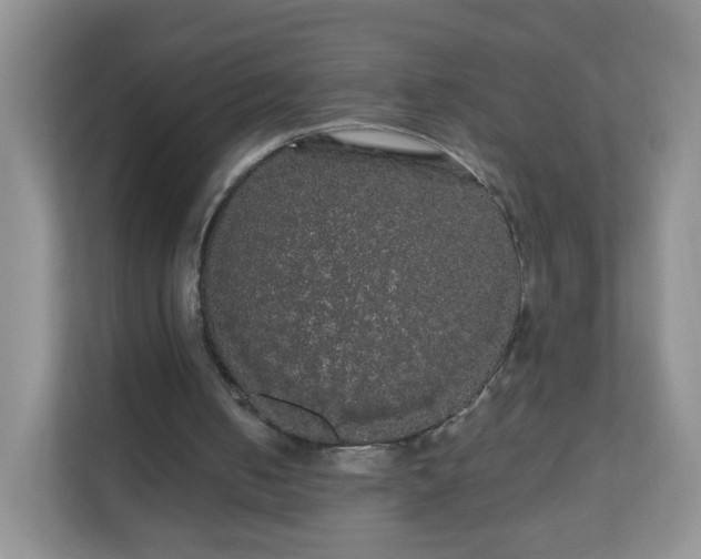 X0000111050050200907021628