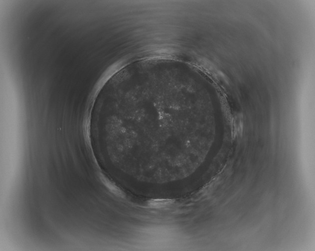 X0000111050051200907021628