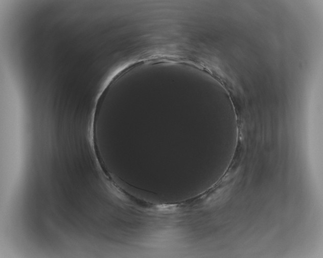 X0000111050052200907021628