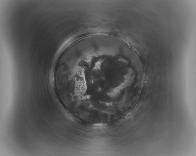 X0000111050053200907021628