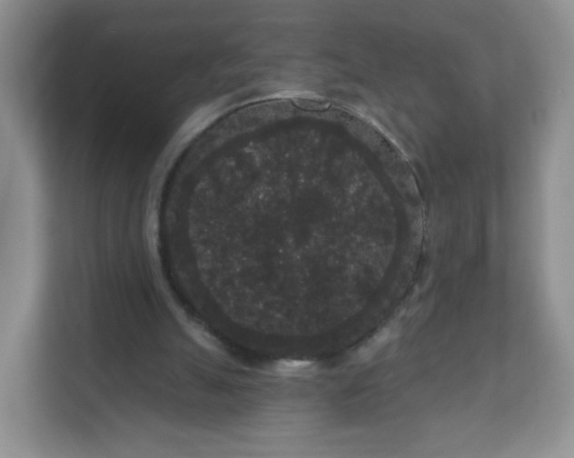 X0000111050055200907021628