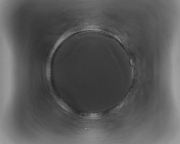 X0000111050056200907021628