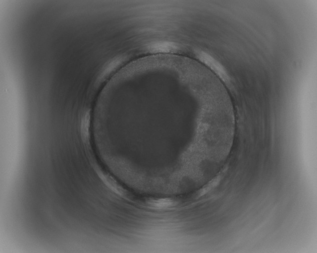 X0000111050058200907021628