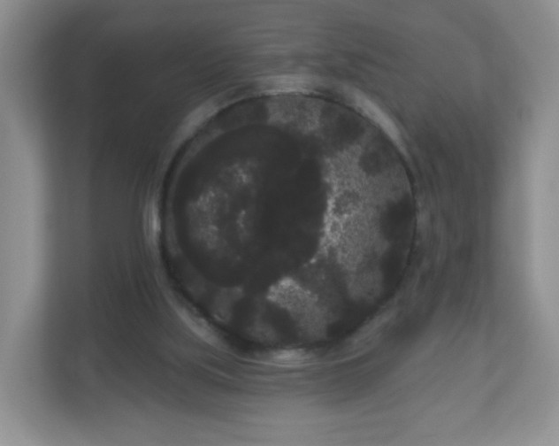 X0000111050059200907021628