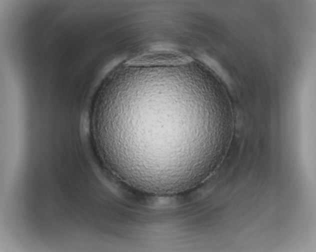 X0000111050060200907021628