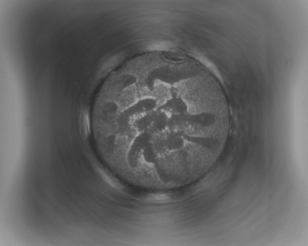 X0000111050061200907021628