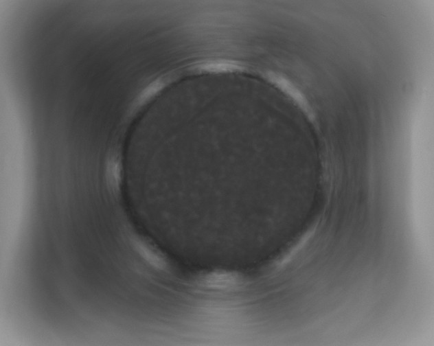 X0000111050063200907021628