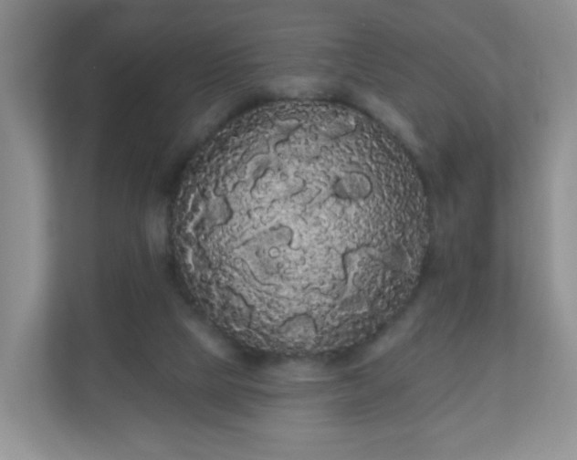 X0000111050065200907021628