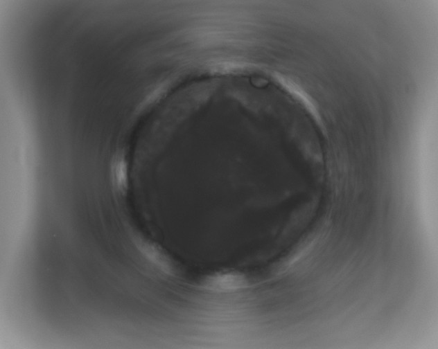 X0000111050067200907021628