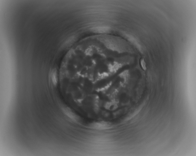 X0000111050069200907021628