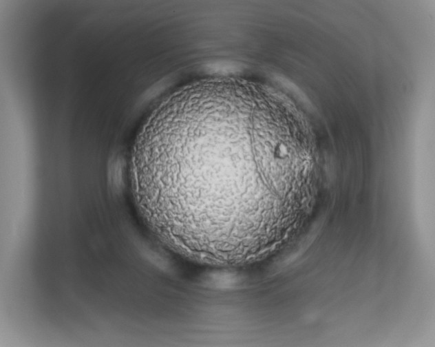 X0000111050071200907021628