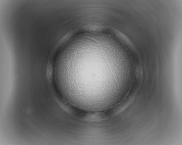 X0000111050072200907021628