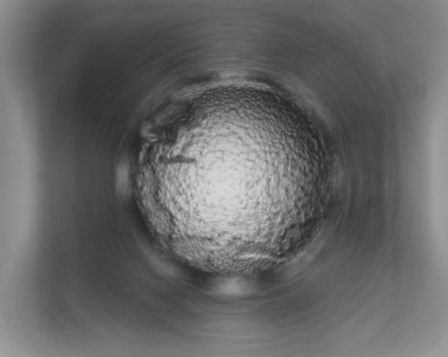 X0000111050074200907021628