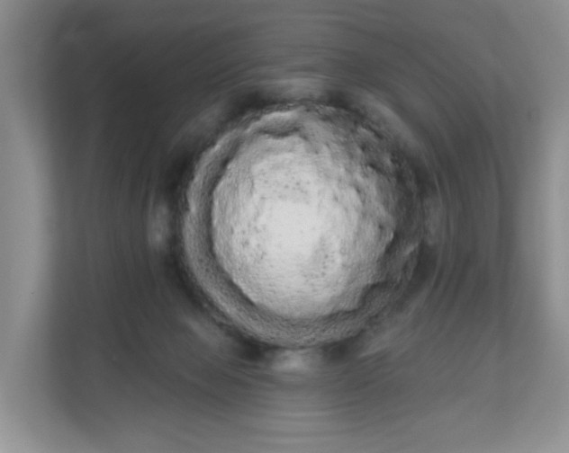 X0000111050077200907021628