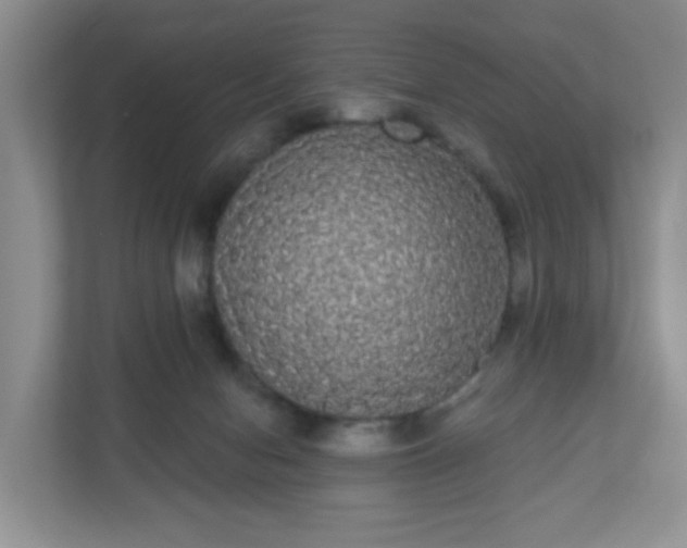 X0000111050078200907021628