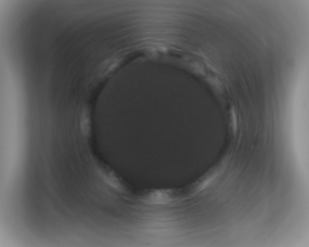 X0000111050080200907021628