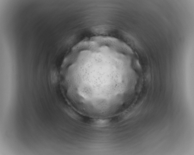 X0000111050081200907021628