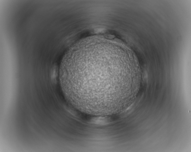 X0000111050082200907021628