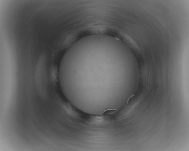 X0000111050083200907021628