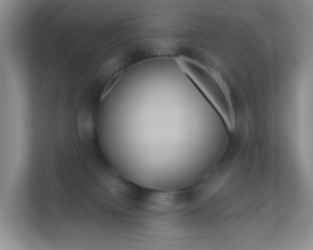 X0000111050084200907021628