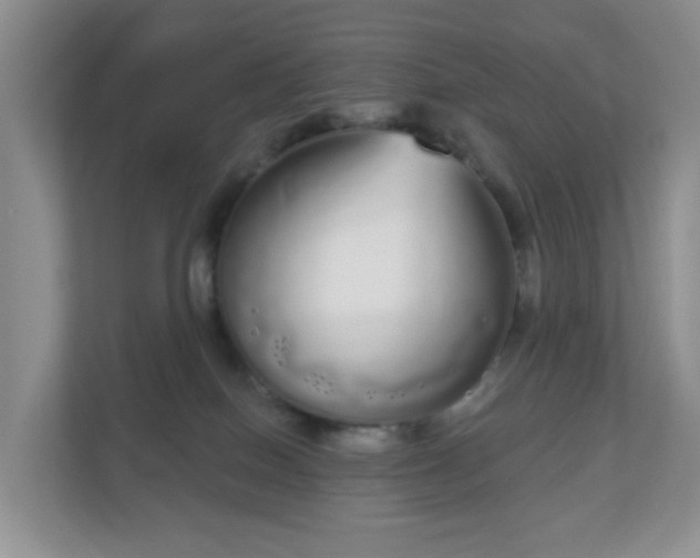 X0000111050086200907021628