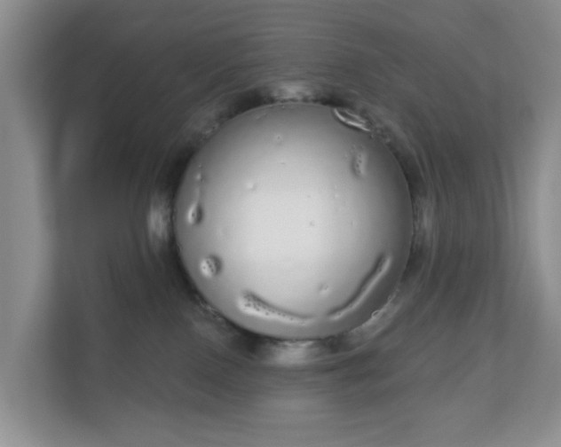 X0000111050090200907021628