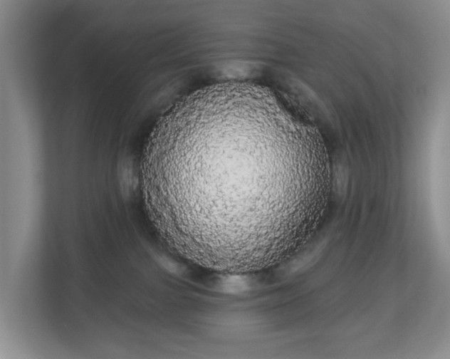 X0000111050091200907021628