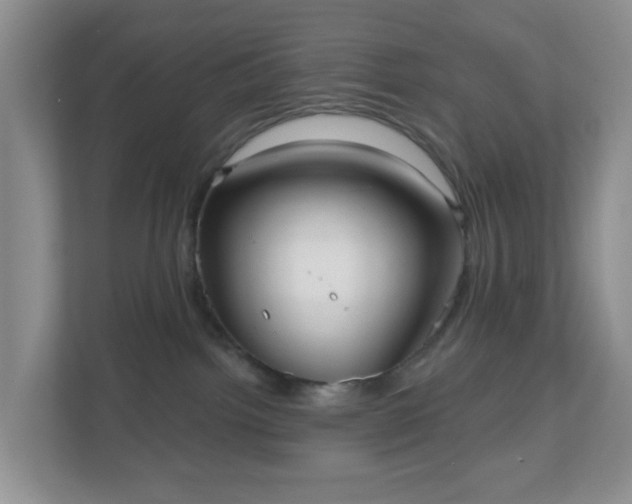 X0000111050092200907021628