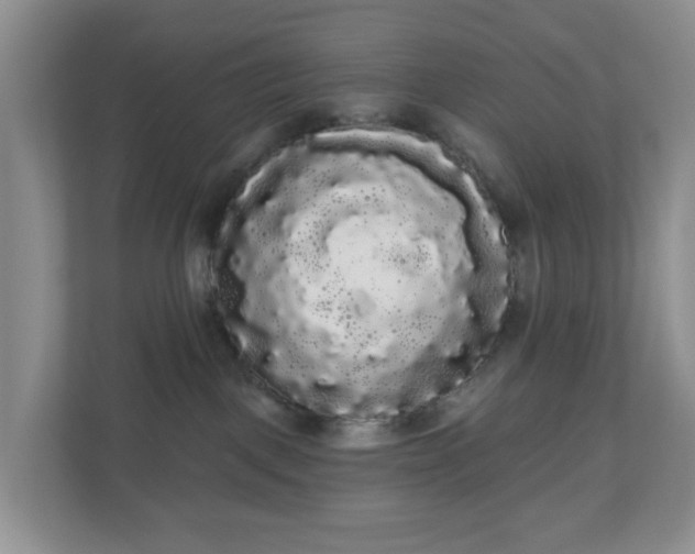 X0000111050093200907021628