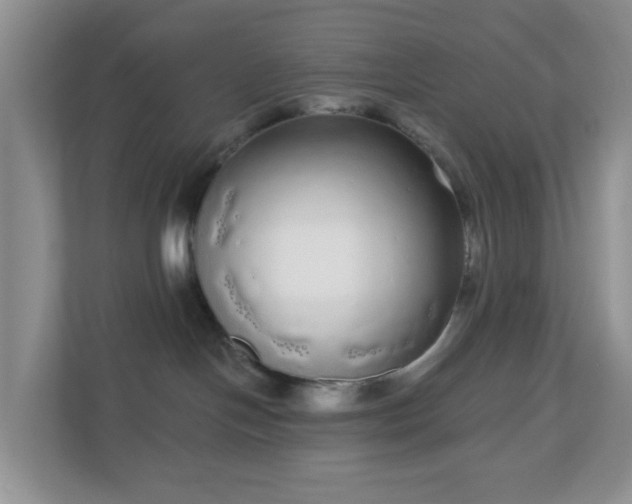 X0000111050094200907021628