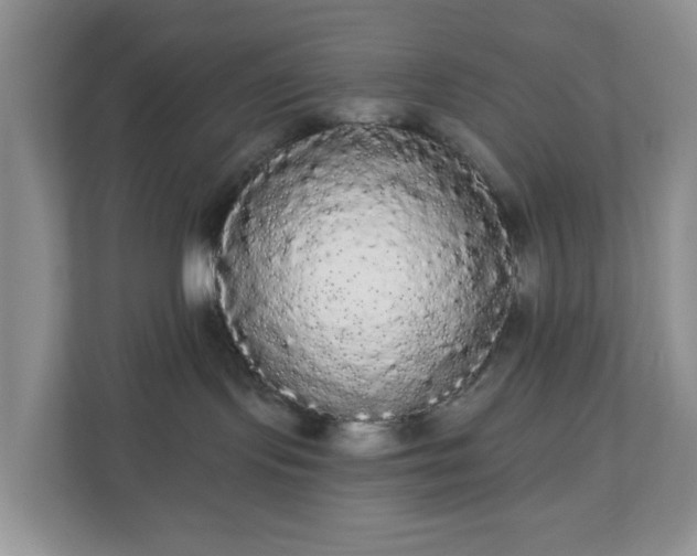 X0000111050095200907021628