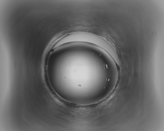 X0000111050101200907021627