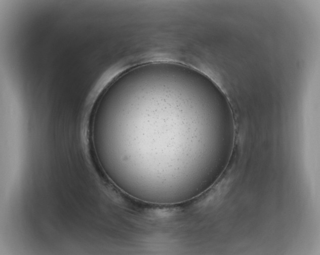 X0000111050103200907021627