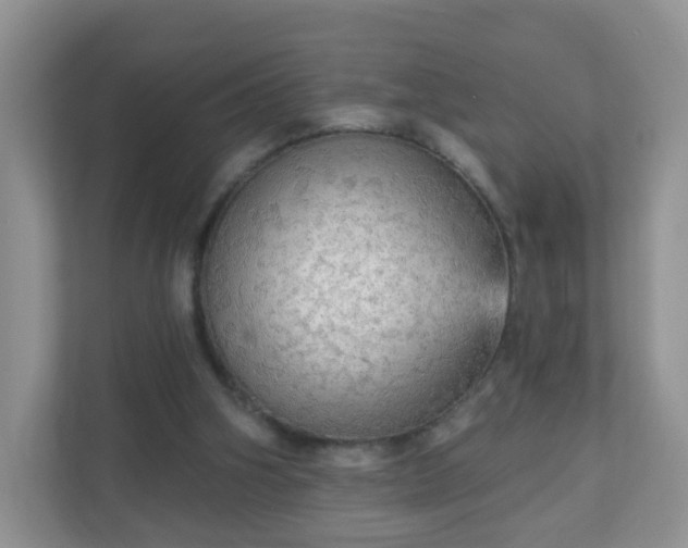 X0000111050106200907021627