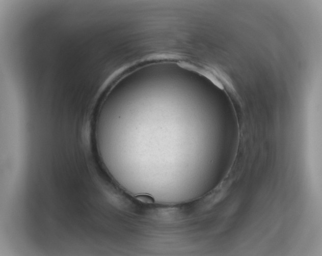 X0000111050108200907021627