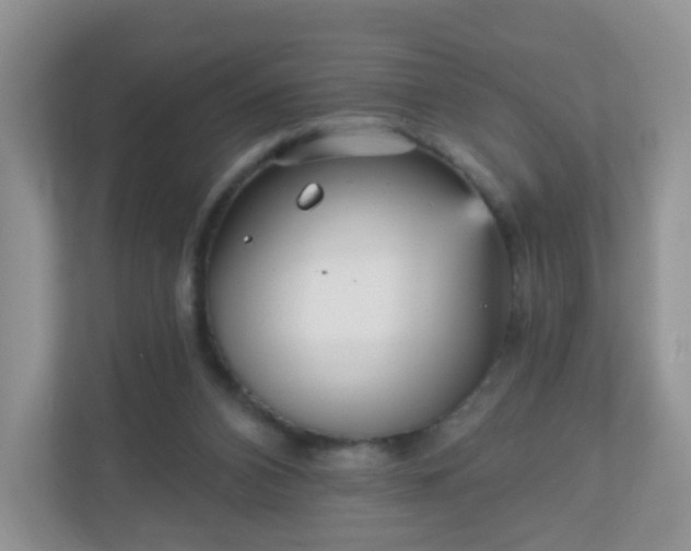 X0000111050112200907021627