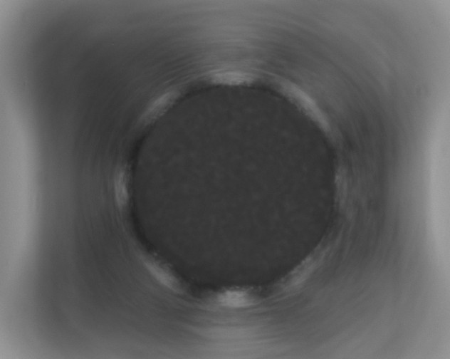 X0000111050114200907021627