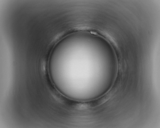 X0000111050115200907021627