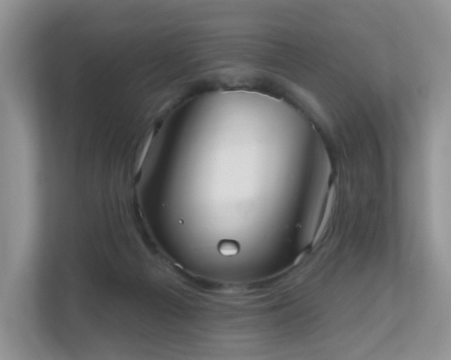 X0000111050121200907021627