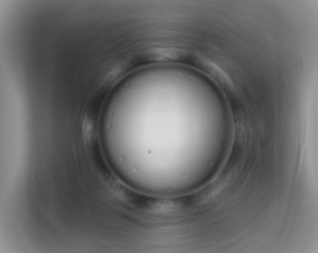 X0000111050123200907021627