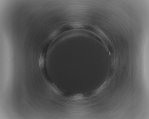 X0000111050124200907021627