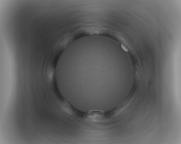 X0000111050125200907021627