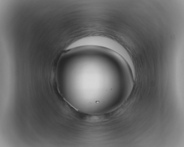 X0000111050129200907021627