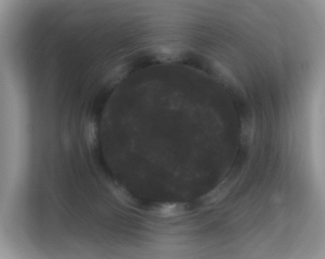 X0000111050130200907021627