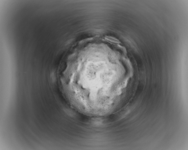 X0000111050131200907021627